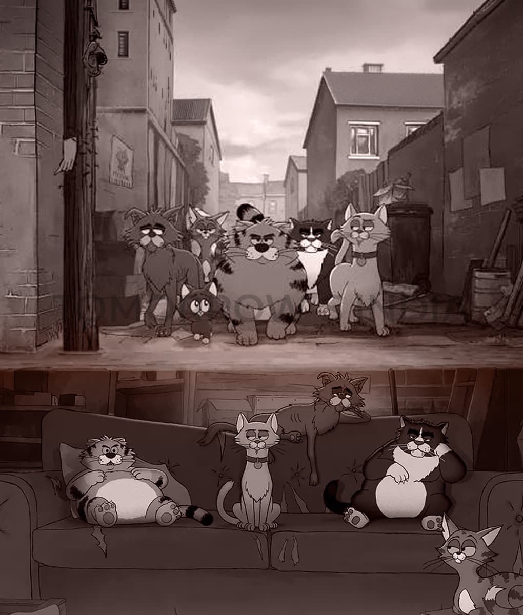 Ricky Gervais Alley Cats