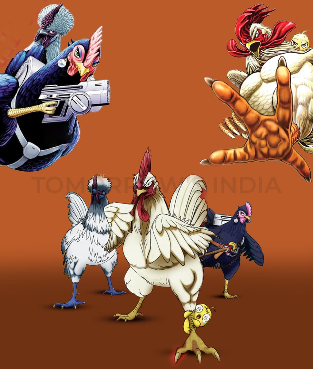 Rooster Fighter