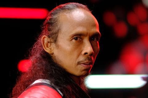 Yayan Ruhian